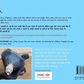 Baby beboo bear (English-Hindi)