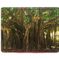 Montessori Jigsaw Puzzle Indian National Tree - Banyan Tree