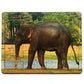 Montessori Jigsaw Puzzle Indian National Heritage Animal Elephant