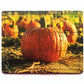 Montessori Jigsaw Puzzle Indian National Vegetable Pumpkin