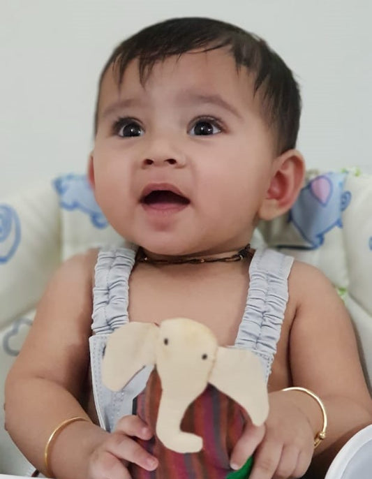 Gannu - the Cuddle toy Elephant
